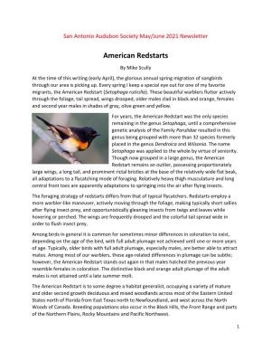 American Redstarts