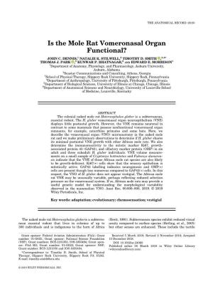 Is the Mole Rat Vomeronasal Organ Functional?