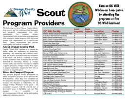 Scout Program