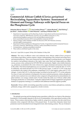 Clarias Gariepinus) Recirculating Aquaculture Systems: Assessment of Element and Energy Pathways with Special Focus on the Phosphorus Cycle