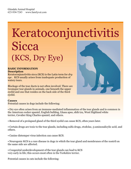Keratoconjunctivitis Sicca (KCS, Dry Eye)