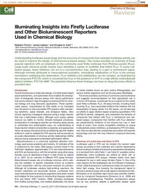Illuminating Insights Into Firefly Luciferase and Other