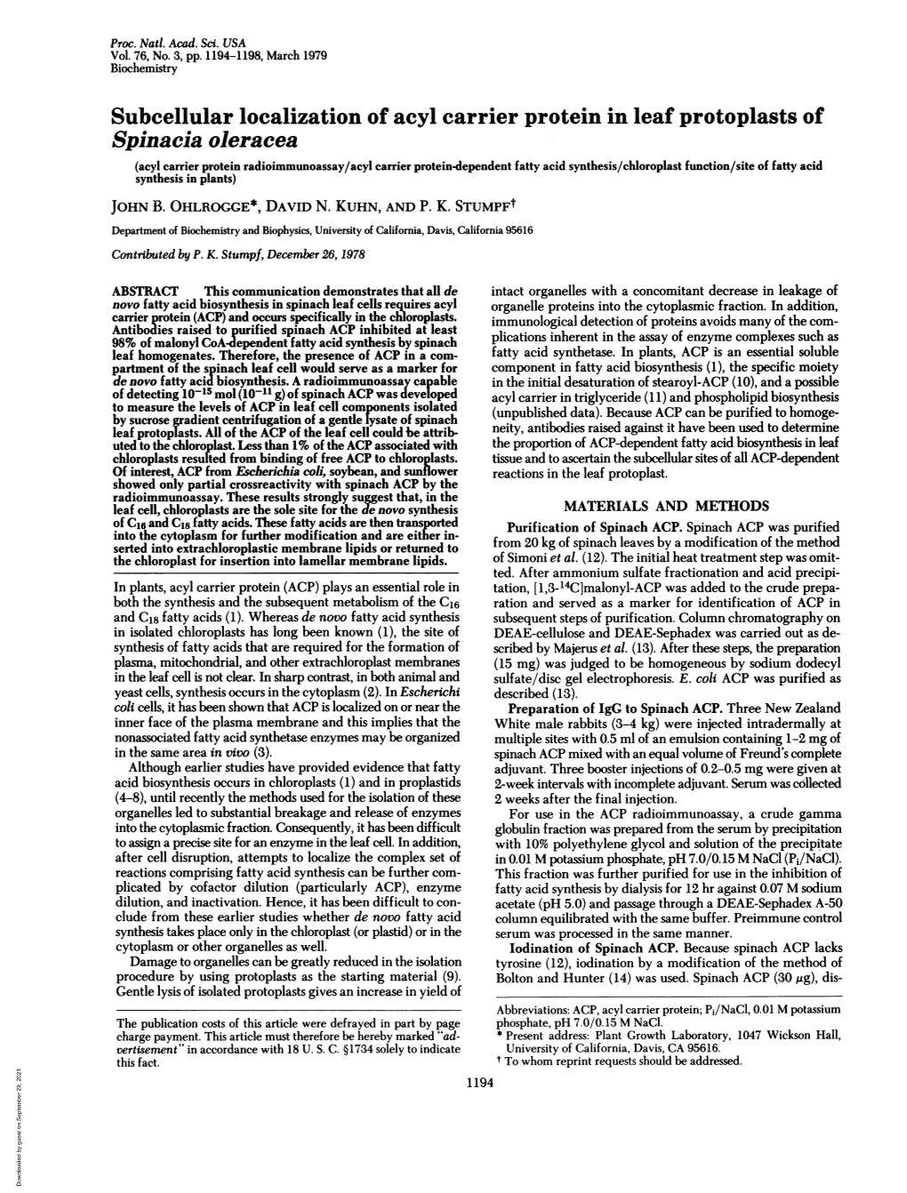 Subcellular Localization of Acyl Carrier Protein in Leaf Protoplasts Of