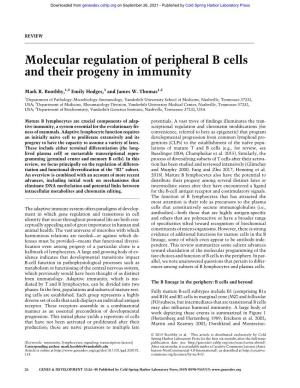Molecular Regulation of Peripheral B Cells and Their Progeny in Immunity