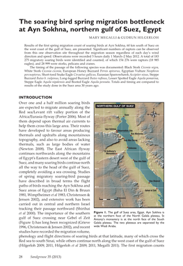 The Soaring Bird Spring Migration Bottleneck at Ayn Sokhna, Northern Gulf of Suez, Egypt Mary Megalli & Gudrun Hilgerloh