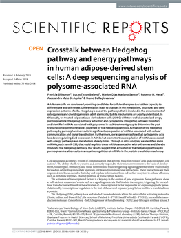 Crosstalk Between Hedgehog Pathway and Energy Pathways In