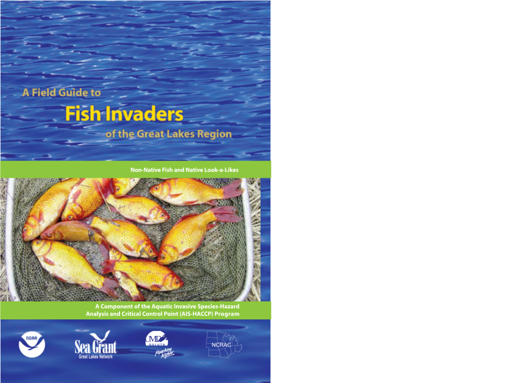 A Field Guide to Fish Invaders of the Great Lakes Region