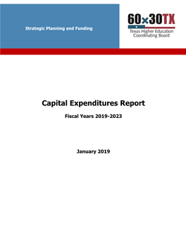 Capital Expenditure Plans FY 2019