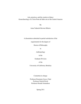 Geoarchaeology of a Terra Preta De Índio Site in the Central Amazon By