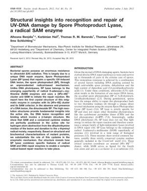 Structural Insights Into Recognition and Repair of UV-DNA Damage by Spore Photoproduct Lyase, a Radical SAM Enzyme Alhosna Benjdia1,*, Korbinian Heil2, Thomas R