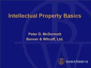Intellectual Property Law Basics