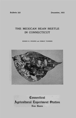 The Mexican Bean Beetle in Connecticut