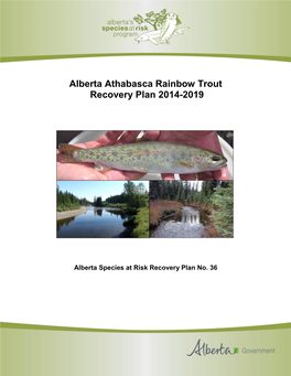 Alberta Athabasca Rainbow Trout Recovery Plan 2014-2019