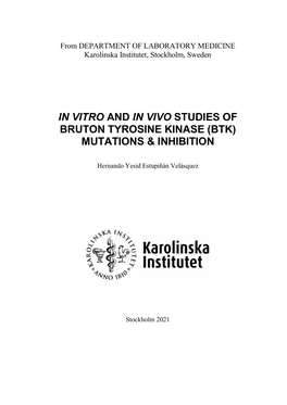In Vitro and in Vivo Studies of Bruton Tyrosine Kinase (Btk) Mutations & Inhibition