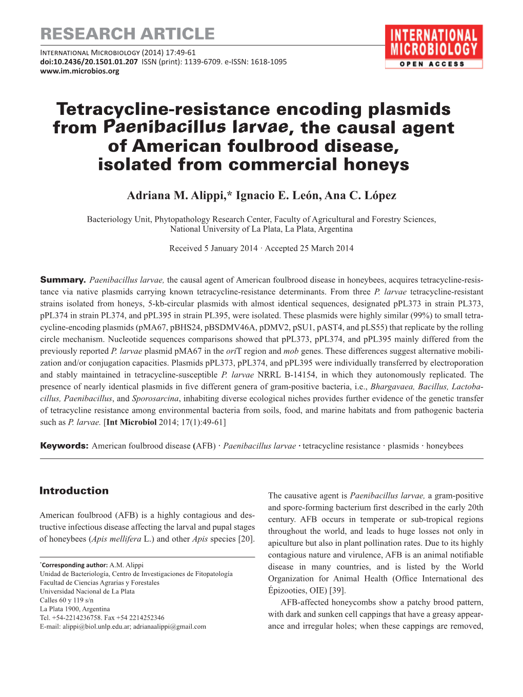 Tetracycline-Resistance Encoding Plasmids from Paenibacillus Larvae, the Causal Agent of American Foulbrood Disease, Isolated from Commercial Honeys