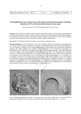 COI Amplification Success from Mucus-Rich Marine Gastropods (Gastropoda: Naticidae) Depends on DNA Extraction Method and Preserving Agent
