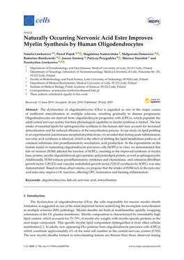 Naturally Occurring Nervonic Acid Ester Improves Myelin Synthesis by Human Oligodendrocytes