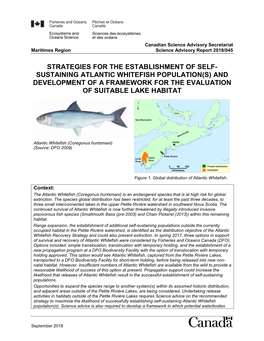 Strategy for the Establishment of Self-Sustaining Atlantic Whitefish Population(S) and Development of a Framework for the Evaluation of Suitable Lake Habitat