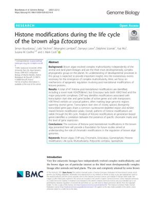 Histone Modifications During the Life Cycle of the Brown Alga Ectocarpus