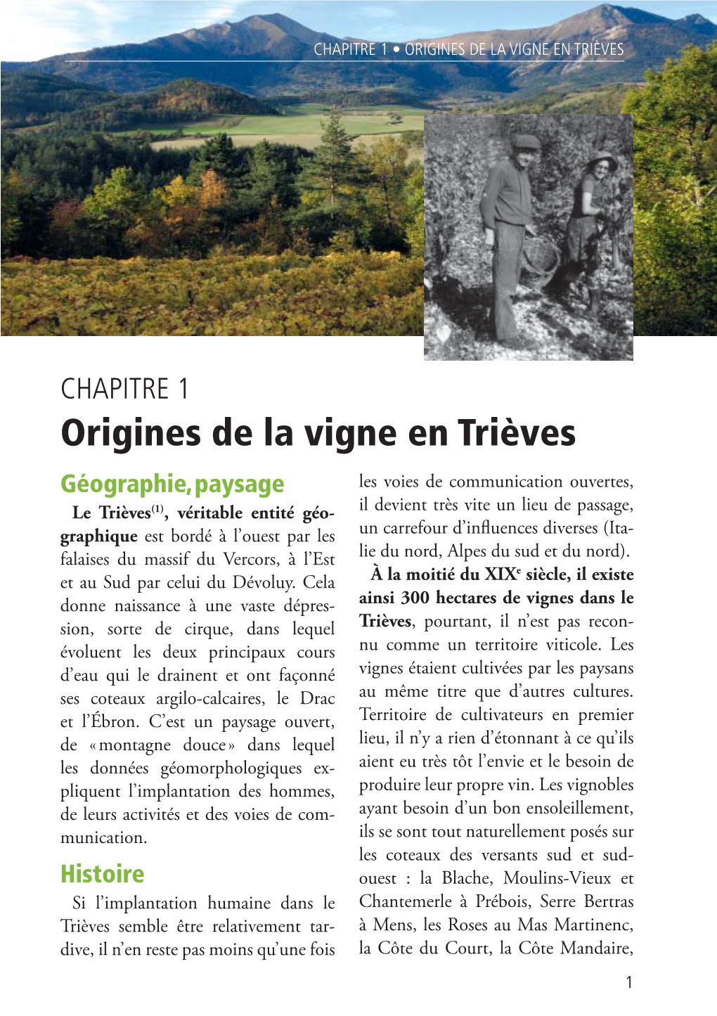 Origines De La Vigne En Trièves