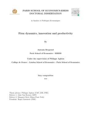 Firm Dynamics, Innovation and Productivity