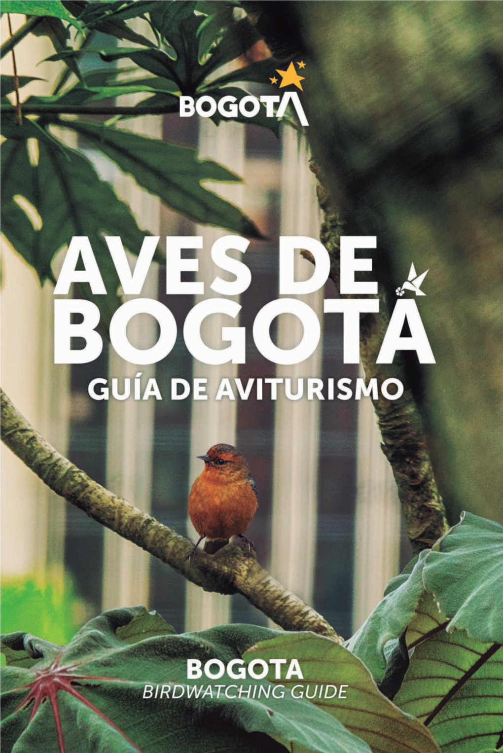 Aves De Bogotá - Guía De Aviturismo - DocsLib