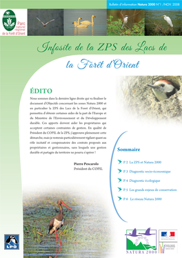 Infosite De La ZPS Des Lacs De La Forêt D'orient