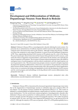 Development and Differentiation of Midbrain Dopaminergic