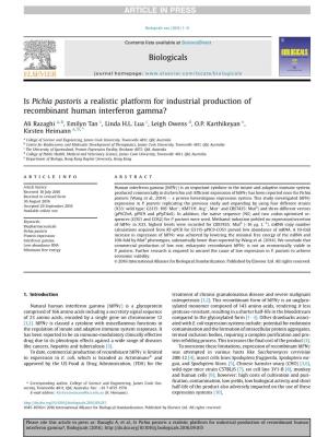 Is Pichia Pastoris a Realistic Platform for Industrial Production of Recombinant Human Interferon Gamma?