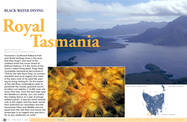 Royal Tasmania
