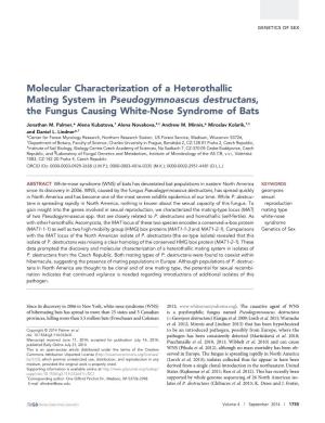 Molecular Characterization of a Heterothallic Mating System in Pseudogymnoascus Destructans, the Fungus Causing White-Nose Syndrome of Bats