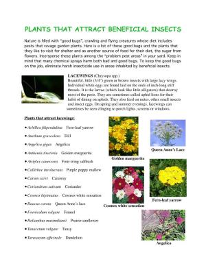 Plants That Attract Beneficial Insects