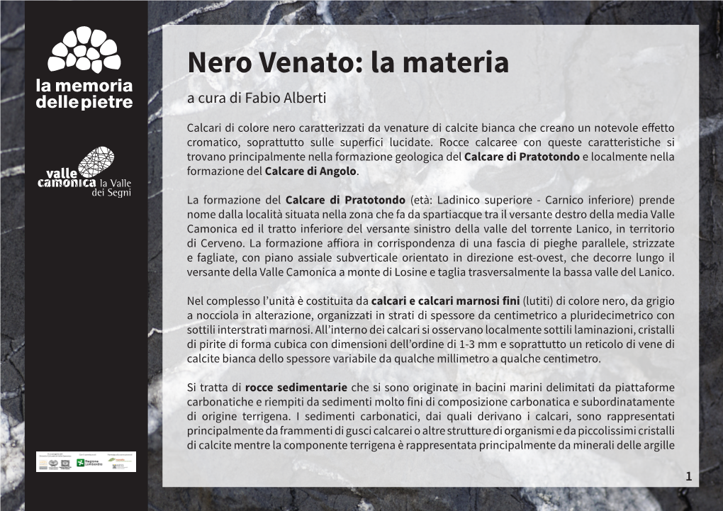 Nero Venato: La Materia a Cura Di Fabio Alberti