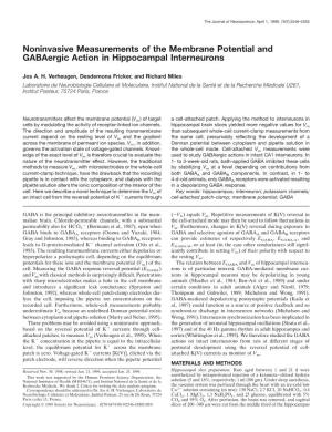 Noninvasive Measurements of the Membrane Potential and Gabaergic Action in Hippocampal Interneurons