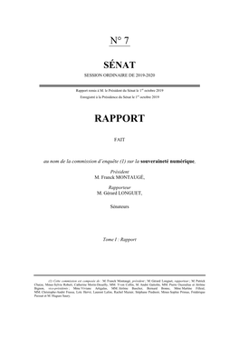 Le Rapport Au Format