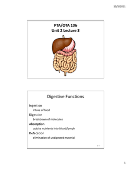 Digestive Functions