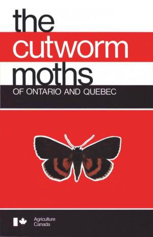 The Cutworm Moths of Ontario and Quebec