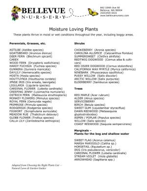Moisture Loving Plants These Plants Thrive in Moist Or Wet Conditions Throughout the Year, Including Boggy Areas