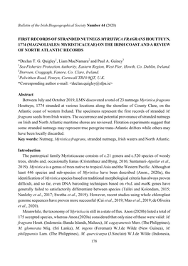 First Records of Stranded Nutnegs Myristica Fragrans Houttuyn, 1774 (Magnoliales: Myristicaceae) on the Irish Coast and a Review of North Atlantic Records