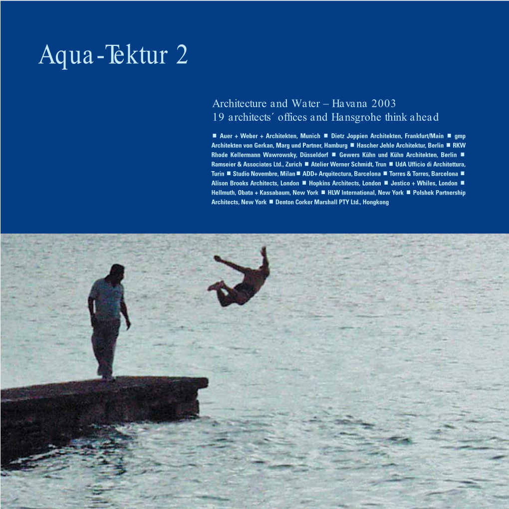 Aqua-Tektur 2