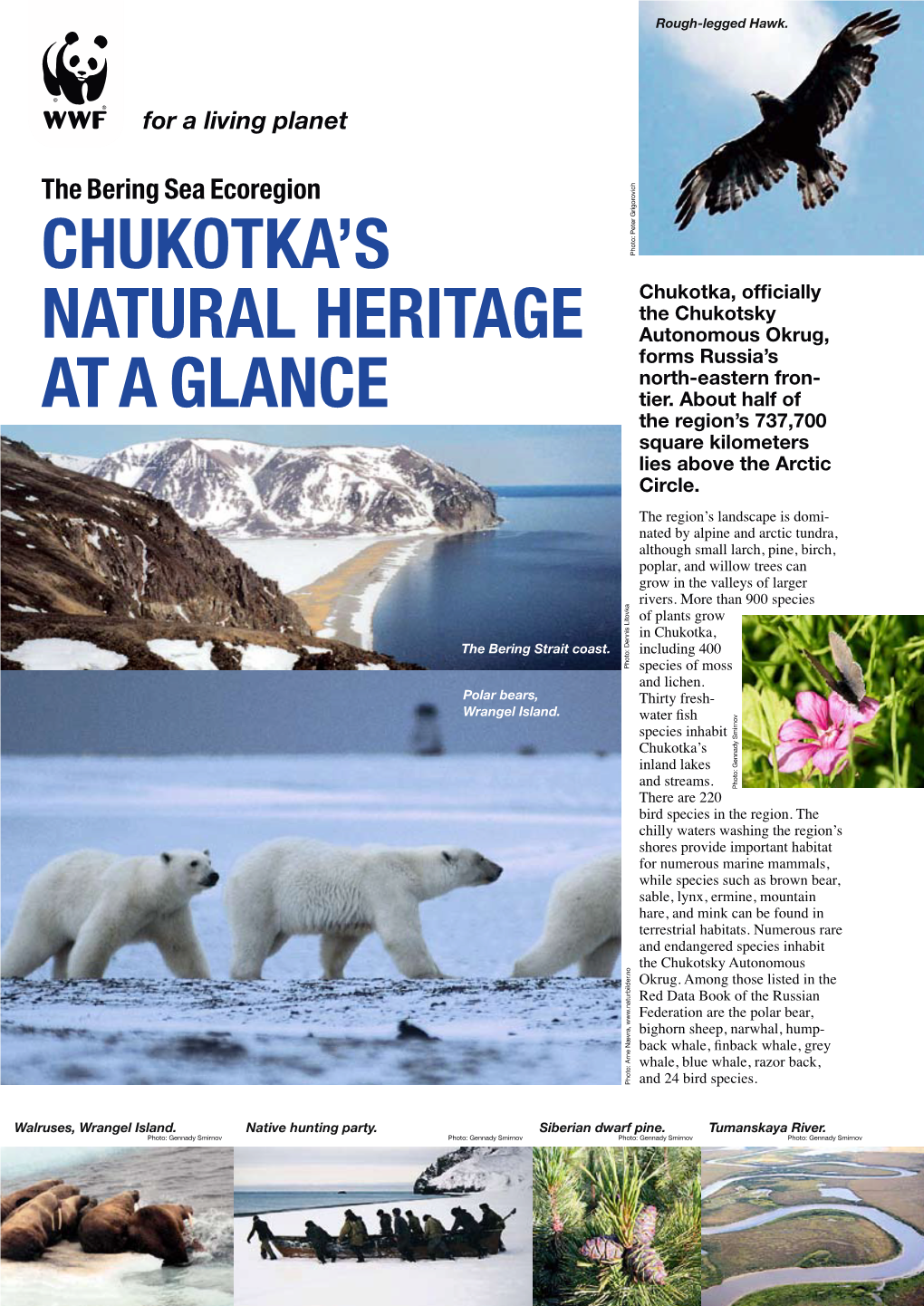 Chukotka's Natural Heritage at a Glance