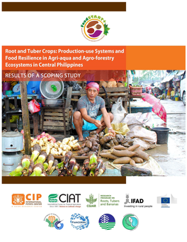 Root and Tuber Crops: Production-Use Systems and Food Resilience in Agri-Aqua and Agro-Forestry Ecosystems in Central Philippines Results of a Scoping Study