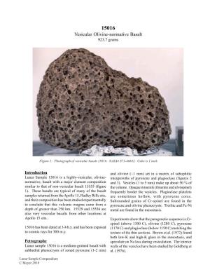 Vesicular Olivine-Normative Basalt 923.7 Grams