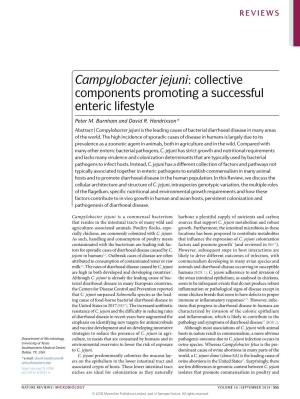Campylobacter Jejuni: Collective Components Promoting a Successful Enteric Lifestyle