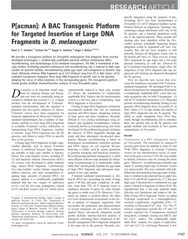 P[Acman]: a BAC Transgenic Platform for Targeted Insertion of Large DNA