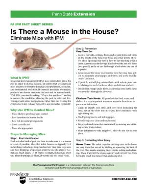 Is There a Mouse in the House? Eliminate Mice with IPM