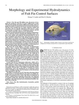 Morphology and Experimental Hydrodynamics of Fish Fin Control Surfaces George V