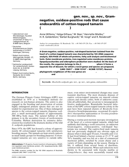 Brackiella Oedipodis Gen. Nov., Sp. Nov., Gram- Negative, Oxidase-Positive Rods That Cause Endocarditis of Cotton-Topped Tamarin (Saguinus Oedipus)