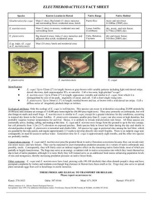Frog Fact Sheet – Eleutherodactylus