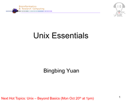Unix Essentials (Pdf)